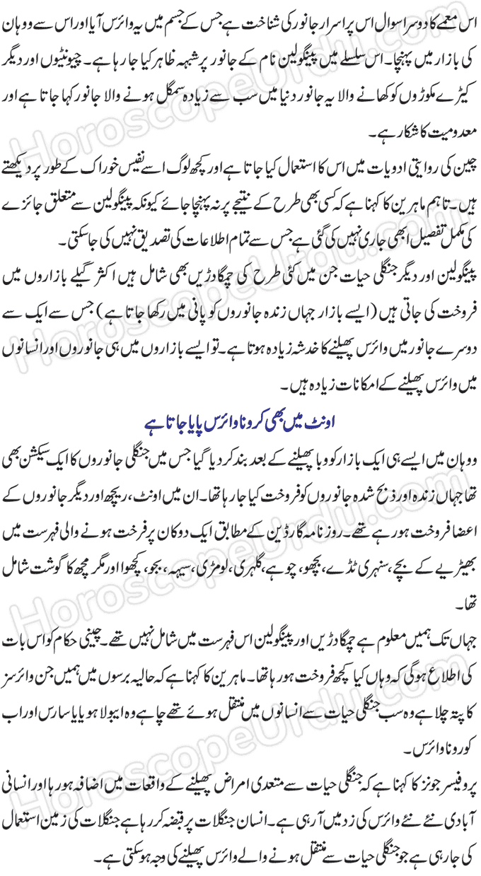 Where Coronavirus Started To Spread?