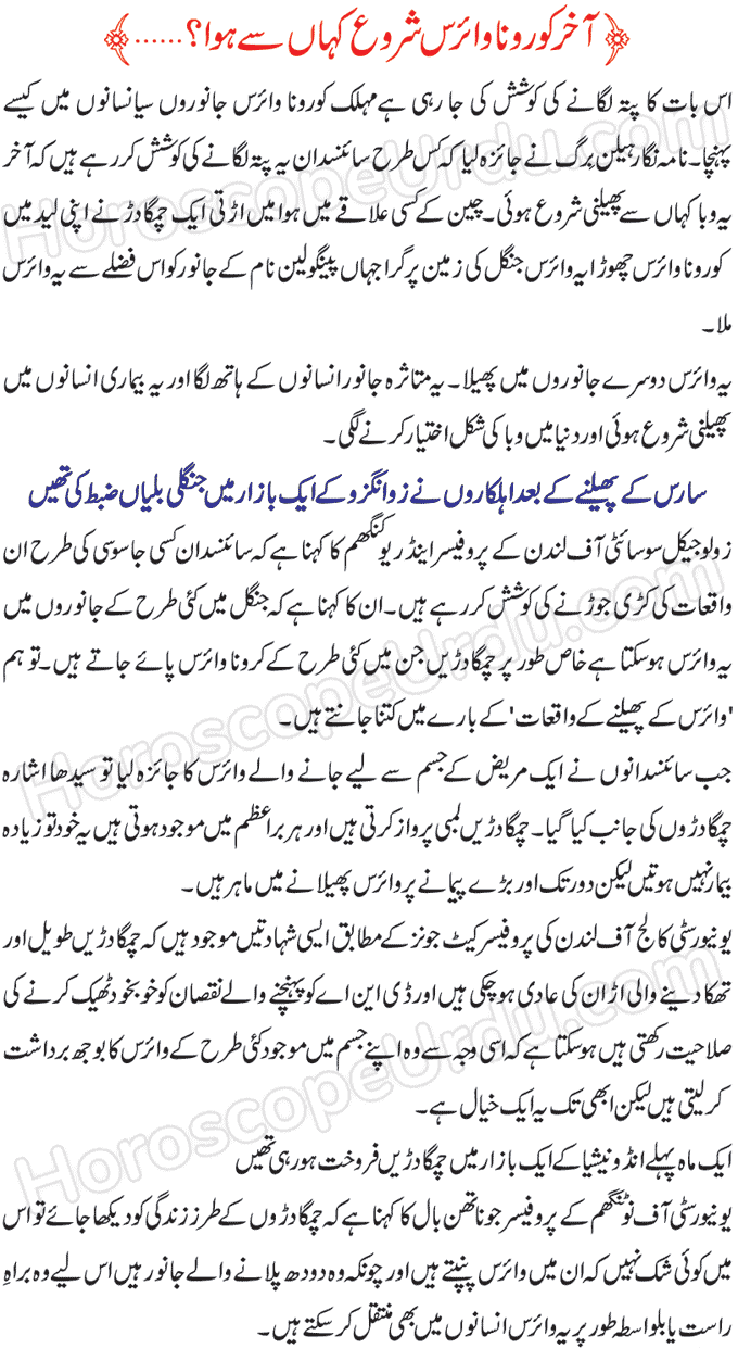 Where Coronavirus Started To Spread?